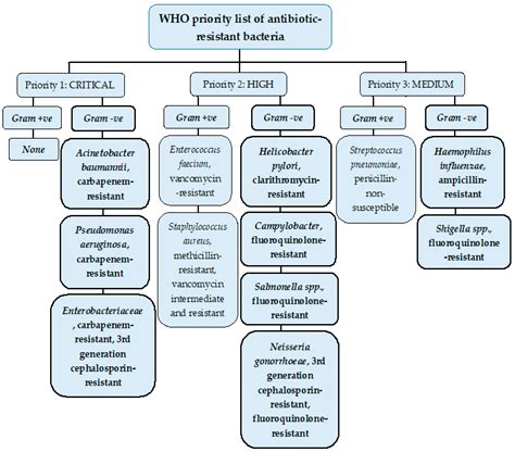 Gram positive vs gram negative antibiotic - lomiwired