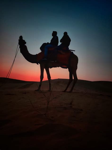 Ride on Camel Back through the Sahara Desert | Pro Partners