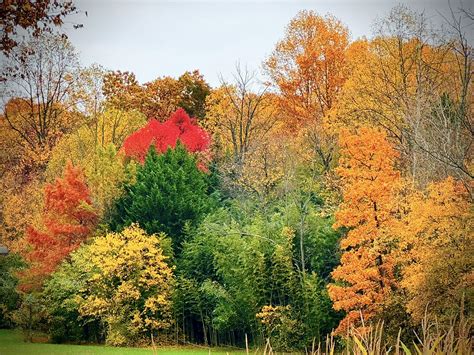 Fall colors | Summers Farm Frederick MD, USA | Bianca Ferrario | Flickr