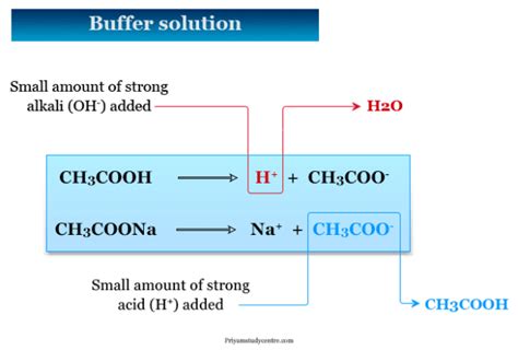 Buffer - Solution, Definition, Types, Uses