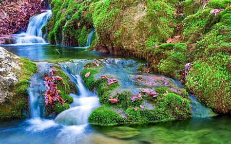 Waterfall, stream, bonito, waterfalls, leaves, water, beauty, nature ...