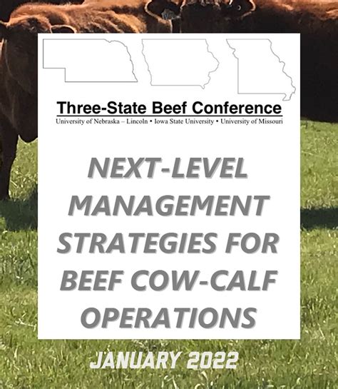 Next-Level Management Strategies for Beef Cow-Calf Operations ...