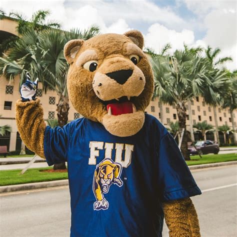 Engage virtually with Panthers this fall semester | FIU News - Florida ...