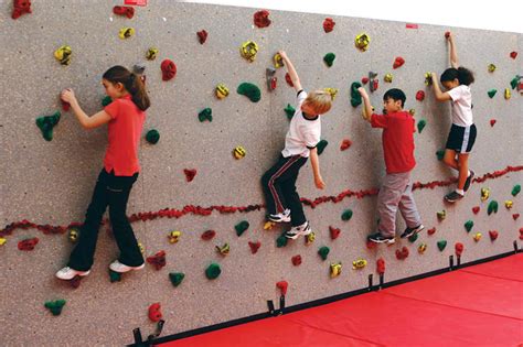 Climbing Wall Holds