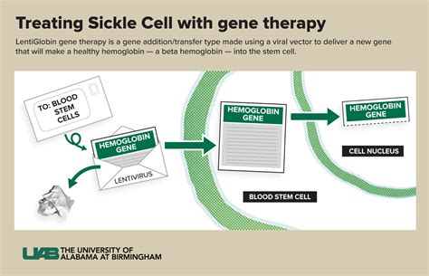 New gene therapy could provide cure for sickle cell disease, according ...