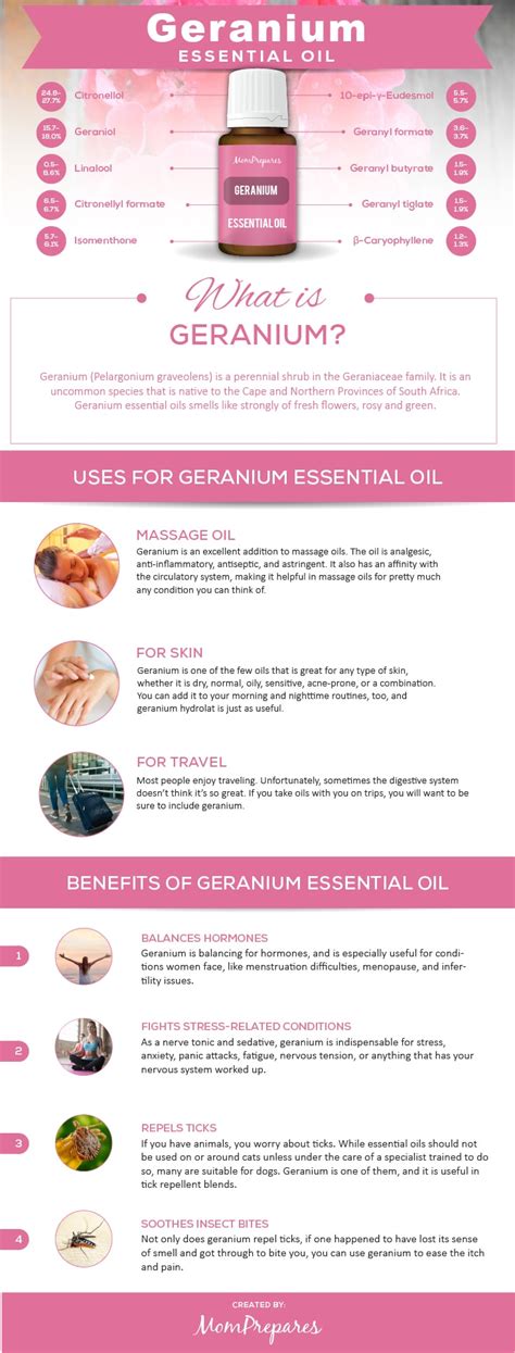 Geranium Essential Oil – The Complete Uses and Benefits Guide – Mom ...