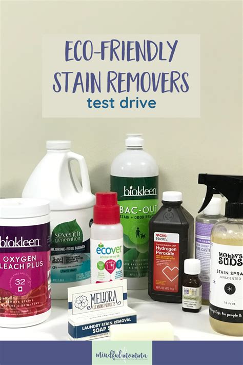 Eco Friendly Stain Removers That Work Best