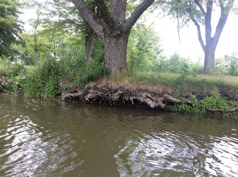 Erosion Along Stream Bank from the Water Looking North (0623) | Buffalo ...