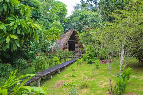 5 Things to do in Yasuni National Park