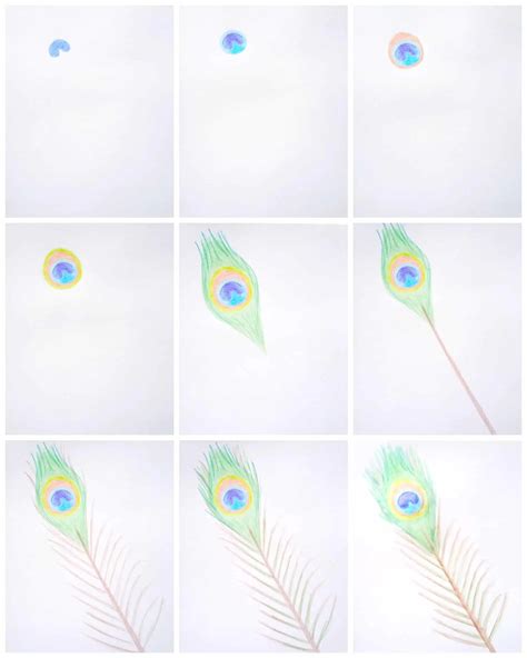 how to draw a feather of peacock - Roxann Sexton