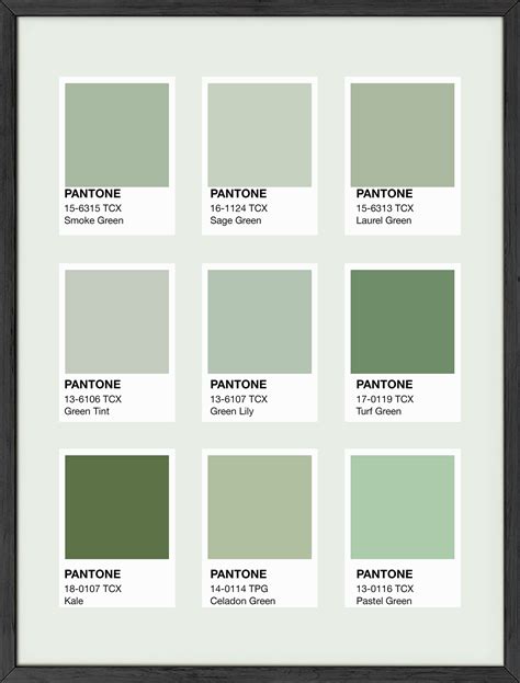 Pantone green shades | Green room decor, Pantone green shades, Sage ...