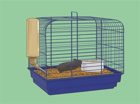 How to Clean out Your Pet Mouse Cage: 9 Steps (with Pictures)