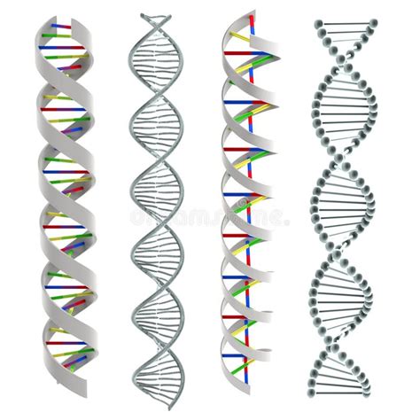 Dna helixes stock illustration. Illustration of biomedical - 8317377