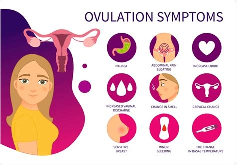 Vaginal Discharge When Ovulating