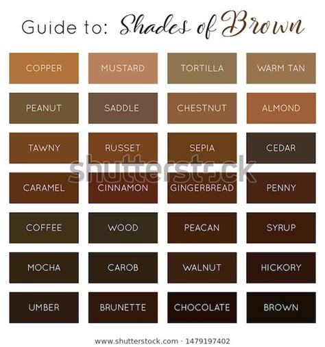 Shades Brown Vector Brown Color Palette Stock Vector (Royalty Free ...