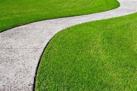 Zoysia Grass Care (The Ultimate Guide For Zoysiagrass) - Lawn Phix