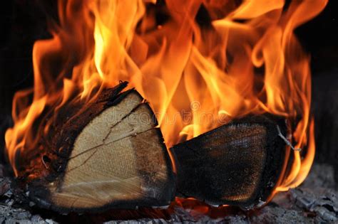 The wood burns on fire stock photo. Image of bonfire - 13560634