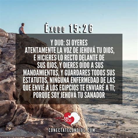 7 Versículos de Sanidad Para los Enfermos - Conéctate Con Dios