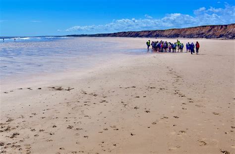 Year 5 visit Hornsea and Mappleton to investigate coastal erosion ...