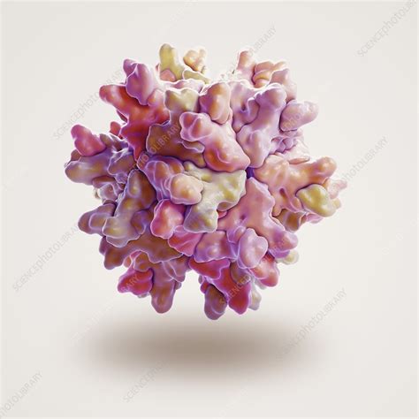 Infectious Bursal Disease Virus, artwork - Stock Image - C020/4260 ...