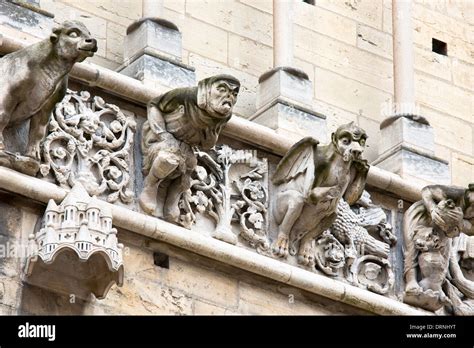 Gargoyles at the Notre Dame Cathedral in Dijon in the Burgundy region ...