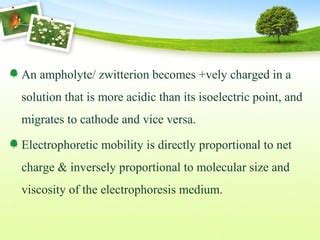 Microchip electrophoresis | PPT