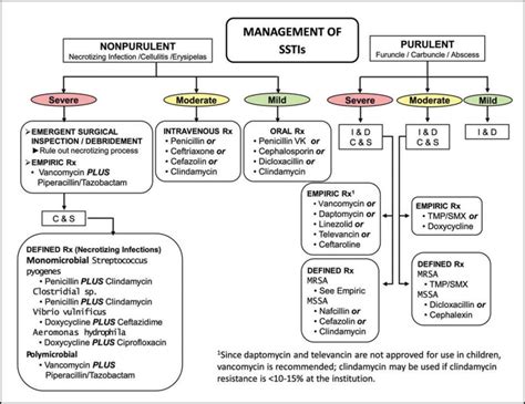 Streptococcus pyogenes Impetigo, Erysipelas, and Cellulitis ...