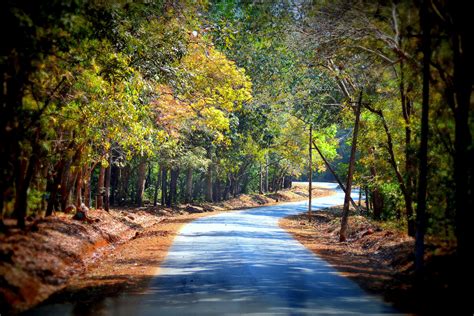 Fotoğraf : peyzaj, ağaç, Su, doğa, orman, çöl, şube, yol, Güneş ışığı ...