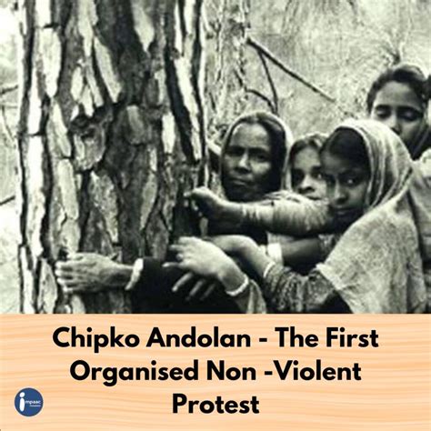 Chipko Andolan – The First Organized Non-Violent Protest → Impaac blog