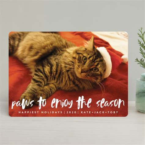 Best Pet Holiday Cards | Dog Lover Christmas Photo Cards | GreatGets.com