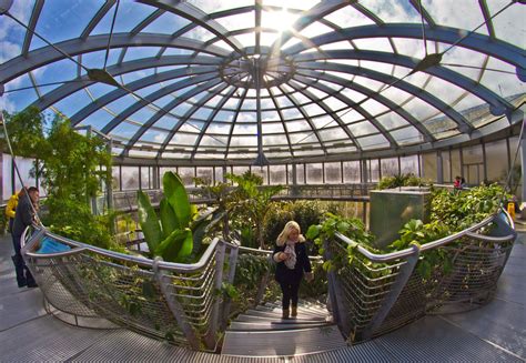 Sunderland Museum. The Winter Gardens. | See: www.twmuseums.… | Flickr