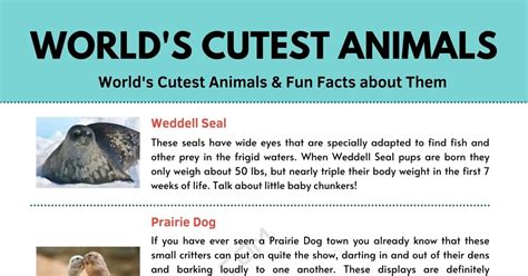 Cute Animals | 7 Cutest Animals in the World and Fun Facts about Them ...