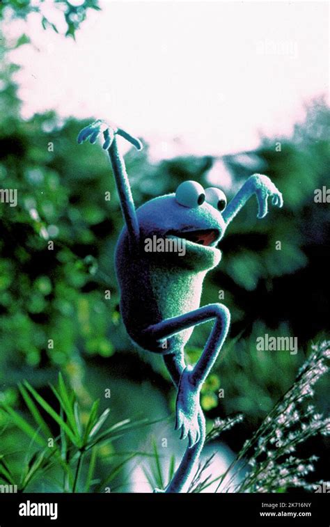 CROAKER, KERMIT'S SWAMP YEARS, 2002 Stock Photo - Alamy