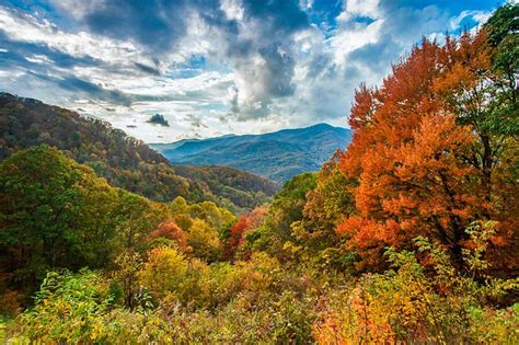 Fall Colors - Blue Ridge Parkway (U.S. National Park Service)