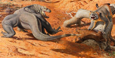 Climate change helped kill off super-sized Ice Age animals in Australia ...