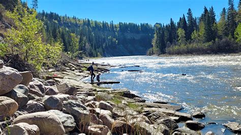 Panning the Pembina - Drayton Valley and District Free Press