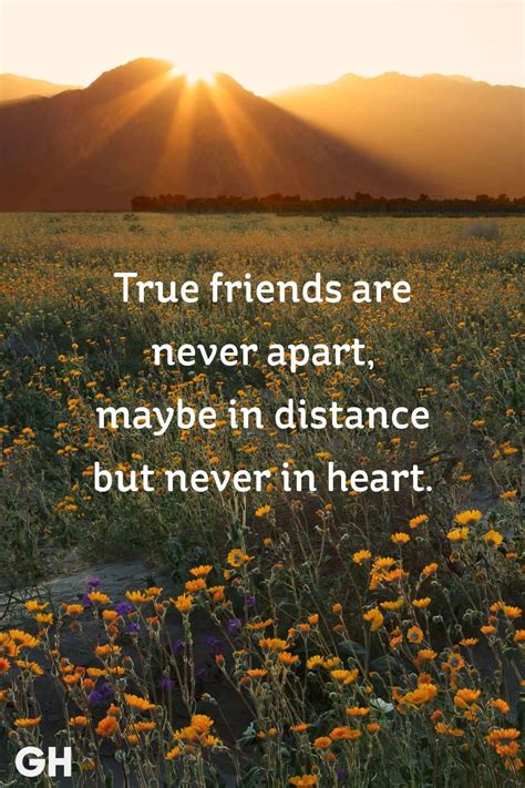 25 Best True Friendship Quotes For Real True Relationship - Preet Kamal