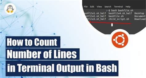 How to Count Number of Lines in Terminal Output in Bash - Linux Genie