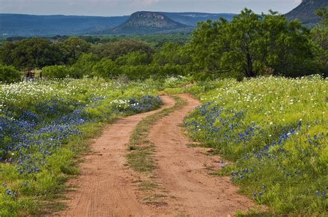 Top Kid-Friendly Things to Do in the Texas Hill Country