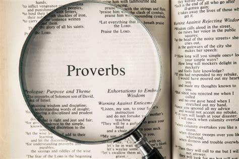 proverbs of the day with meaning - BlaytonHayder