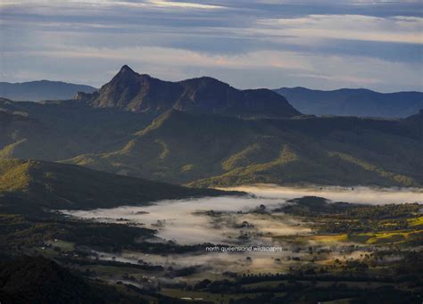 Southern Queensland Gold Coast Hinterland | NQ_Wildscapes