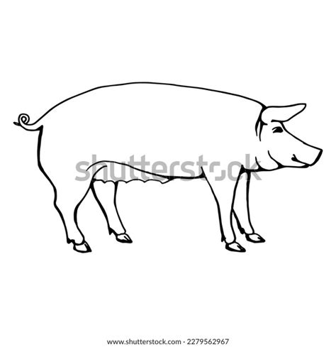 Sketch Pig Side View Line Drawing Stock Vector (Royalty Free ...