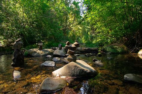 Portola Redwoods State Park - ThatsMyPark