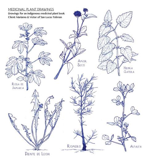 How to Draw a Realistic Tree: Step-by-Step Tutorial