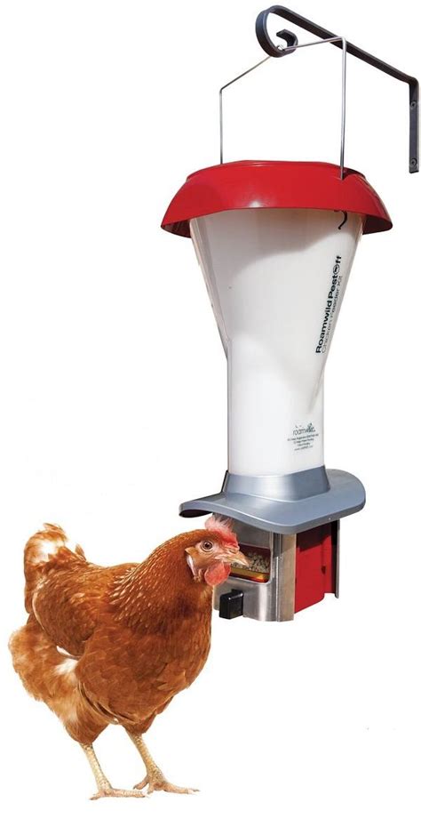 The 6 Best Chicken Feeders of 2018 – All You Need To Know - Eco Peanut