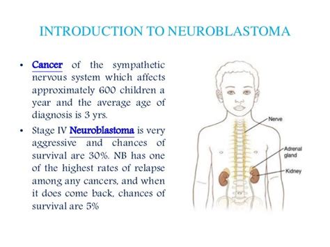 Neuroblastoma: Patient info on symptoms, diagnosis and treatment opti…