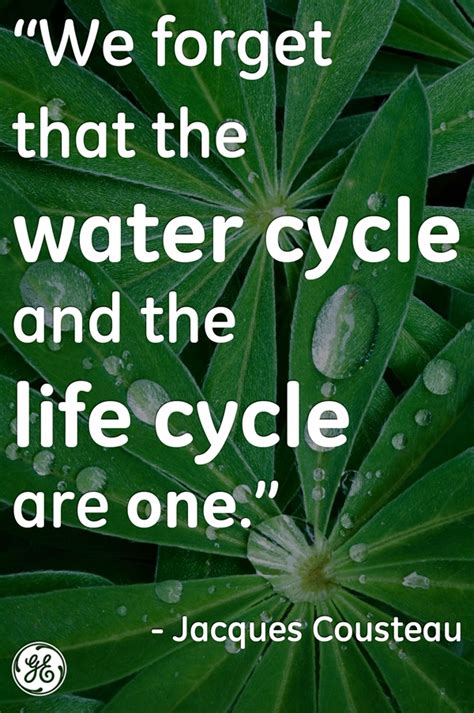 Quotes About Water Conservation. QuotesGram