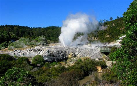 New Zealand's Fantastic Te Puia Geothermal Valley - A Review ...