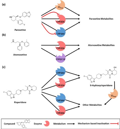 Implemented metabolic pathways for the modeled compounds. (a ...