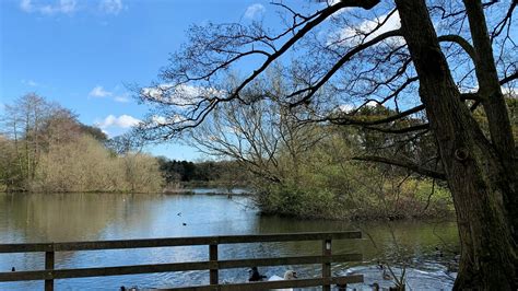 Community Rewilding Allestree Park | Rewilding Britain